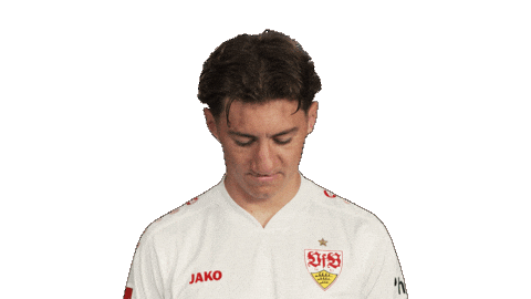 Look Up Vfb Stuttgart Sticker by Bundesliga