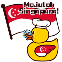 Duck Singapore Sticker by dianxiaoer