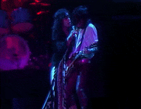 Steven Tyler 1970S GIF by Aerosmith