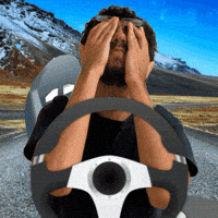 137 Miles Per Hour GIF