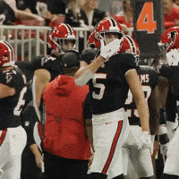 Football Nfl GIF by Atlanta Falcons