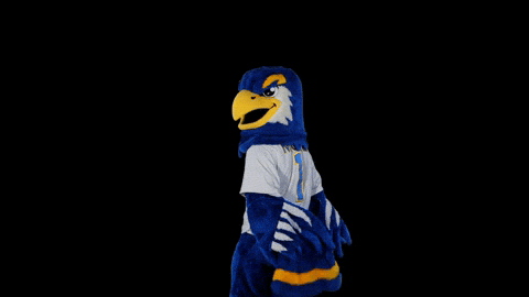 Nigel Nighthawks GIF by University of North Georgia