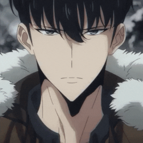 Solo Leveling Sung GIF