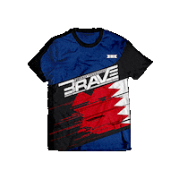 Mixed Martial Arts Mma Sticker by BRAVE Combat Federation