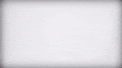 missouristate GIF by Missouri State University