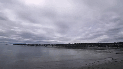 uviccampuslife giphygifmaker beach peace ocean GIF