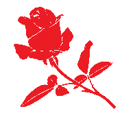 Red Rose Woman Sticker by newlifechurchtv