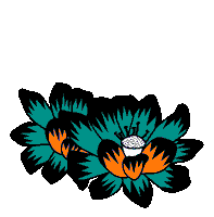 Fun Wave Sticker by Fanatic Watersports