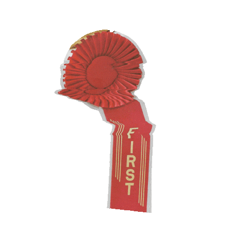 First Place Sport Sticker by madebywar