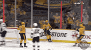 Ice Hockey Sport GIF by NHL
