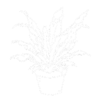 Interior Sticker