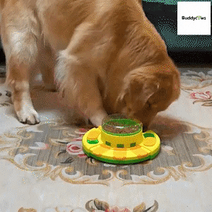 ctrungfb73 giphyupload GIF