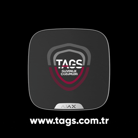 tagssecurity giphyupload security tags alarm GIF