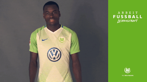 celebration bundesliga GIF by VfL Wolfsburg