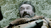 season 3 vikings GIF by HISTORY