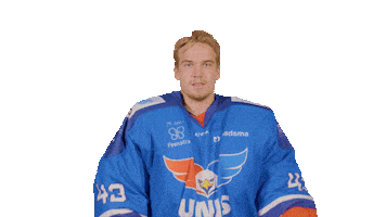 De Boer Hockey Sticker by UNIS Flyers