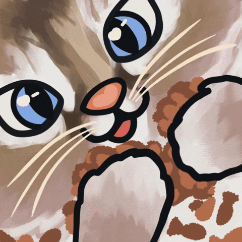 Cat Emote GIF