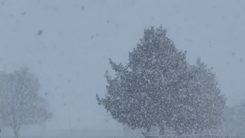 Heavy Snow Blankets Boise, Idaho, as Winter Storms Hit Region