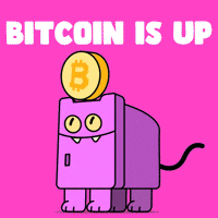 Happy Good Day GIF by Nexio