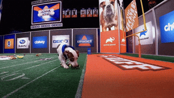 Touchdown