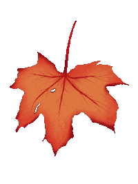 Fall Season Art Sticker