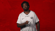 Vfl Wolfsburg Football GIF by Bundesliga