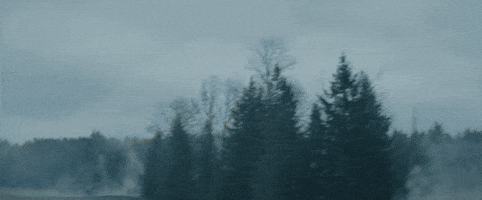 Explosion Gore GIF