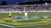 rugby league celebration GIF by NRL