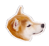 Dog Look Sticker