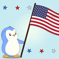 United States Penguin GIF by Pudgy Penguins