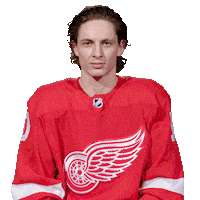 Ice Hockey No Sticker by Detroit Red Wings