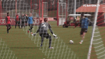 robert lewandowski football GIF by FC Bayern Munich