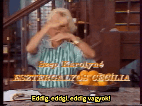 c1k0r1a giphygifmaker esztergályos cecília família kft eddig GIF