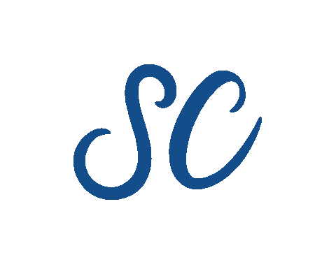 Road Trip Sc Sticker by Discover South Carolina