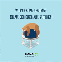 GIF by HONGi Faultiermatratze