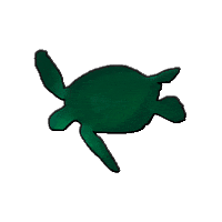 MarieWelke3 swimming turtle GIF