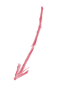 cocomano arrow polskie popolsku strzałka Sticker