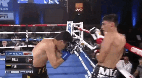 toprank giphyupload fight boxing fighting GIF