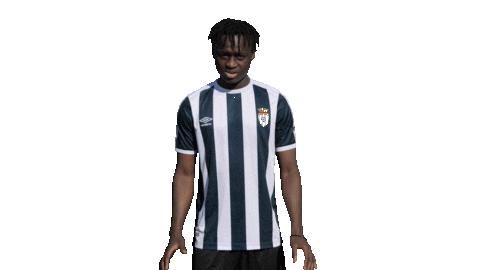 Salim Sticker by CFP