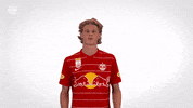 Red Bull Taste GIF by FC Red Bull Salzburg