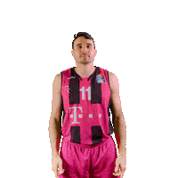 swipe up game on Sticker by easyCredit Basketball Bundesliga