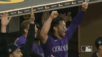 Happy Regular Season GIF by MLB