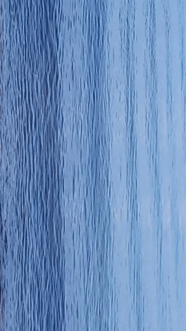 Simongip giphygifmaker GIF