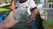 easter GIF