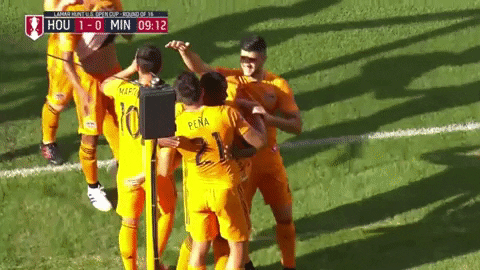 Major League Soccer Football GIF by Houston Dynamo
