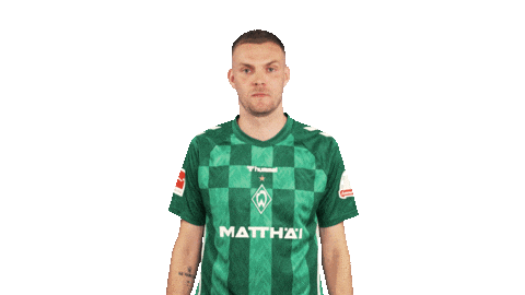 Werder Bremen Cheering Sticker by Bundesliga