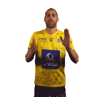 Tor Celebrating Sticker by FirstViennaFC