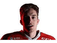 Scream Yes Sticker by HDD SIJ Acroni Jesenice