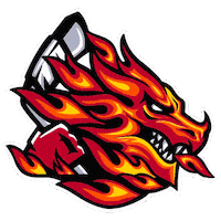 Fire Hockey Sticker by Cardiff Fire