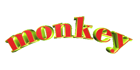 Monkey Sticker by GIPHY Text